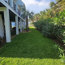 Landscape-Clean-Out-and-Revamp-in-Gulf-Breeze-FL 2